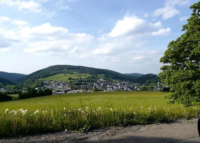 Апартаменты Bergperle Виллинген